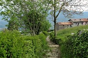 82 Arrivo tra verdi prati a Zergnone  (852 m)